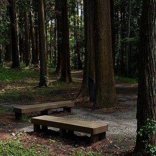 Studio Go Wildの写真3