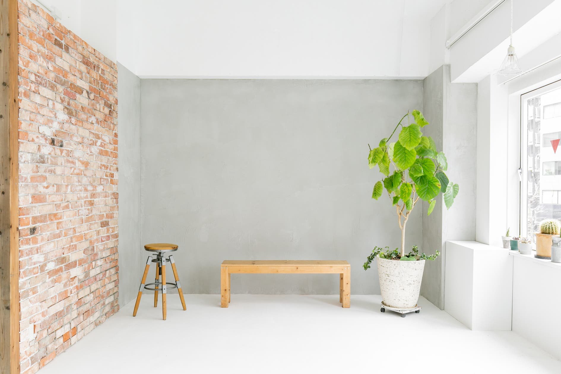 WHITE BALANCEの写真4