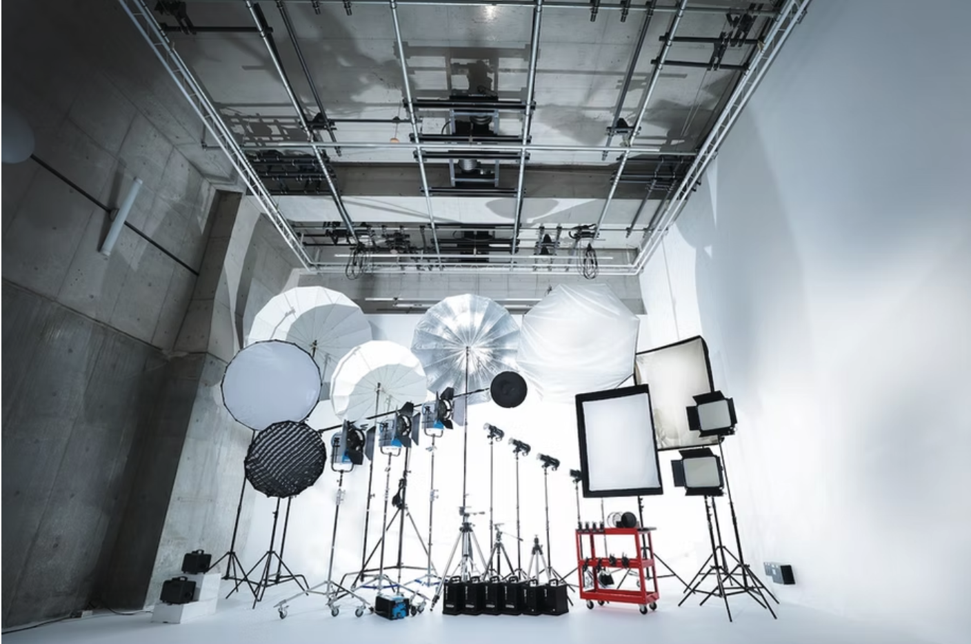 Studio Showcase C-Rohoriの写真